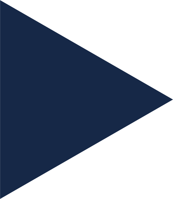 navy blue triangle